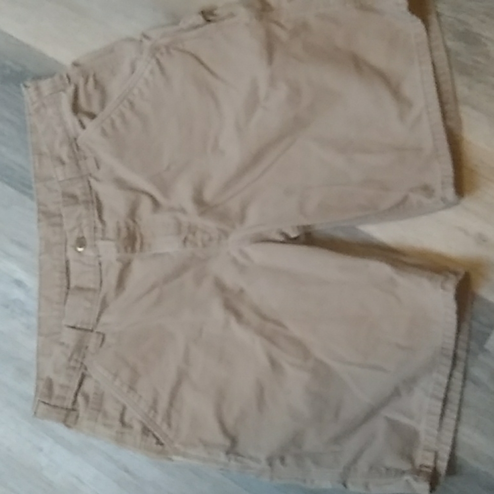 Carhartt, 36, multi